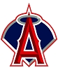 Anaheim Angels Baseball 12